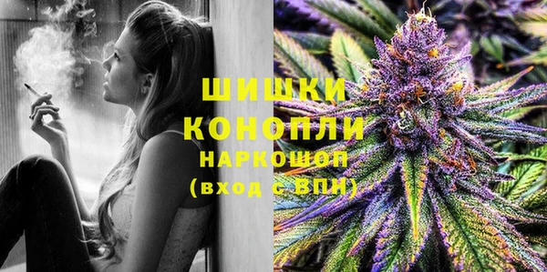 крисы Алзамай