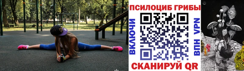 Галлюциногенные грибы Cubensis  ссылка на мегу ТОР  Апшеронск 